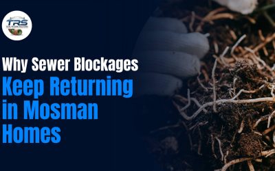 Home 1 Why sewer blockages keep returning in mosman homes